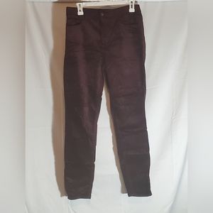 NWT LOFT Purple Velvet Size 8 Skinny Pants